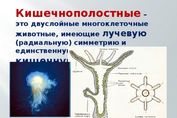 Кракен не работает тор