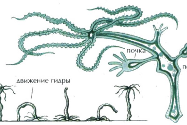 Работает ли кракен